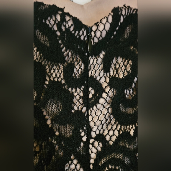 BETSY & ADAM Black/ Nude w/ Black Lace Overlay, Cocktail Party Dress Size 20W - Picture 4 of 6